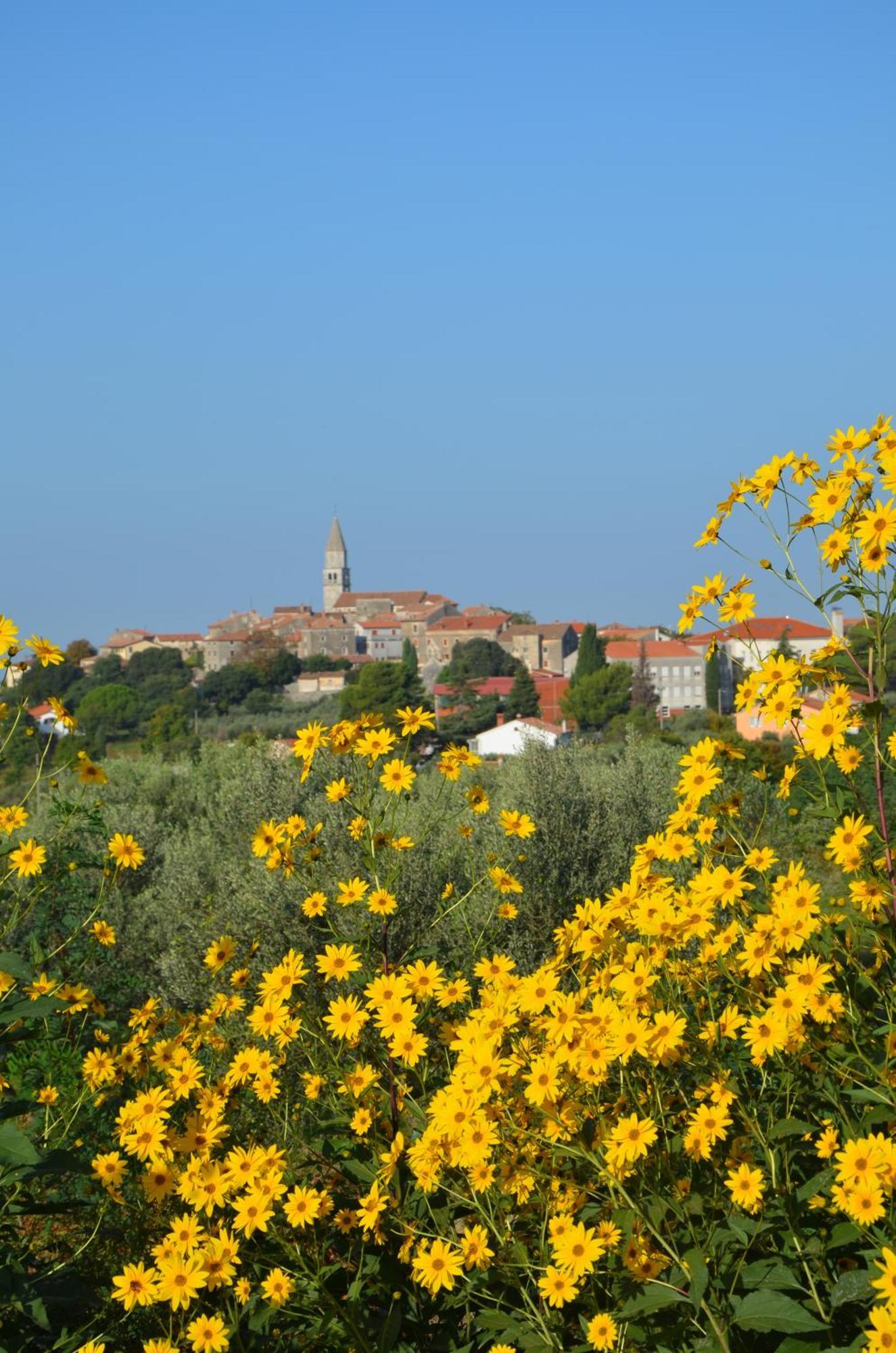 Villa Leopoldo By Istrian Country Houses Barat  Exterior photo